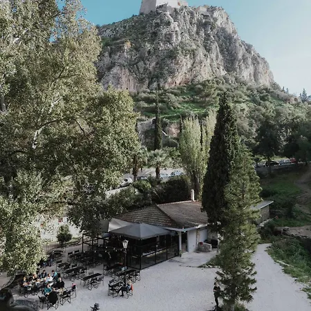 Fli I N' Ii Family Listed Since 1850