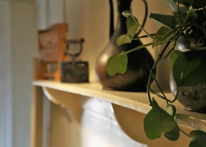 Проживание в семье Fli I N' Ii Family Listed Since 1850 *